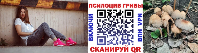 Псилоцибиновые грибы MAGIC MUSHROOMS наркошоп Судак